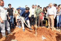 MEHMET BAYGÜL - Döşemealtı'na 'Şehitler Korusu