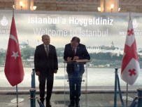 LALE FESTİVALİ - İstanbul'a Yeni Bir Kardeş Daha