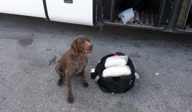 Vicdan Yine Affetmedi