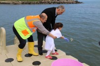 18 Yılda Yaklaşık 50 Bin Yavru Kalkan Denizle Buluştu