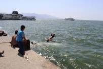 66 Yıl Sonra İlk Kez!