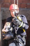 FATMA KÜÇÜK - Asansör Boşluğunda Mahsur Kalan Kediyi İtfaiye Kurtardı