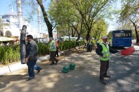 ÇINAR AĞACI - Atatürk Bulvarı, Artık Daha Yeşil