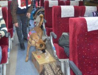 KAÇAK CEP TELEFONU - 'Atik' Ve 'Görev' Yolcu Treninde Arama Yaptı