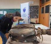 Ertuğrul Fırkateyni'nden Çıkan Eserler Mersin'de Sergilenecek