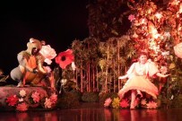 AYDıN KÜLTÜR MERKEZI - 'Kurbağa Prens' Aydın'da Sahnelendi