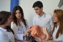 SAĞLIK MESLEK LİSESİ - Öğrenciler TEOG Tercihleri İle Mesleklerine Karar Veriyor