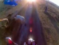 ALTıNOLUK - Saldırgan Köpekler Motosikletçiyi Böyle Düşürdü