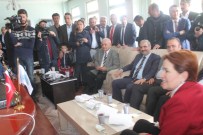 ŞABAN KARDEŞ - Akşener'e Hayme Ana Benzetmesi