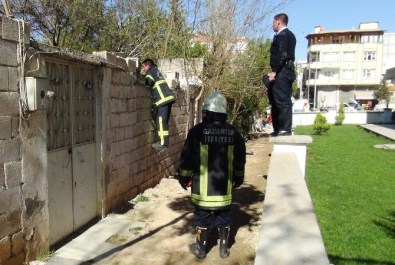 Asılsız 'Yaralı Kadın' İhbarı Paniğe Neden Oldu