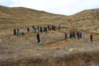 DOĞANTEPE - Çankırı'da AK Partili Gençler 4 Bin Fidan Dikecek