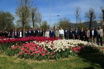 HASAN GÖÇ - Hasbahçe'de Lale Festivali Başladı