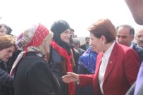 ŞABAN KARDEŞ - MHP'li Akşener'e 'Hayme Ana' Benzetmesi