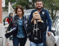 Zonguldak'ta Fuhuş Operasyonu: 8 Gözaltı
