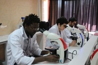 BAYRAKTAROĞLU - BEÜ Tıp Fakültesi Multidisiplin Laboratuvarlarına Önemli Yatırım