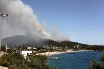 İŞ MAKİNASI - Bodrum'daki Orman Yangın Otellere Ulaşmadan Söndürüldü