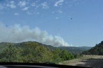 YAŞAR AKSANYAR - Dursunbey'deki Orman Yangını Sürüyor