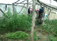 Narkotik Köpeği 'Dalga' Sezonun İlk Uyuşturucusunu Buldu