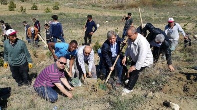 Yabancı Uyruklu Öğrenciler Şehitlik Ormanına Fidan Dikti