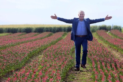 Adana'dan Hollanda'ya Çiçek İhracatı