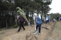 Öğrenciler, 571 Fidanı Toprakla Buluşturdu