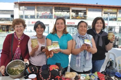 Urla'da Enginar Festival İçin Geri Sayım Başladı