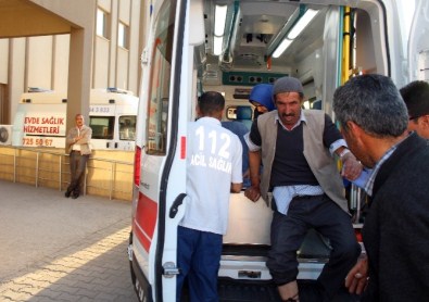 Adıyaman'da 2 Kişiyi Yılan Soktu