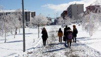 Erzurum Güne Böyle Uyandı