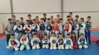 RECEP BAŞKAN - Foçalı Taekwondocular Eskişehir Yolcusu