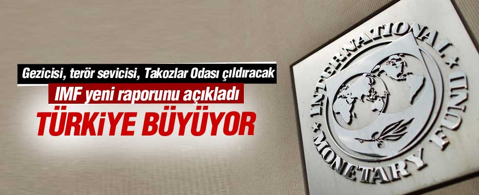 IMF kritik Türkiye raporunu yayınladı