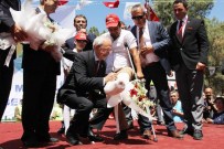 KUDDUSI OKKıR - Kılıçdaroğlu'ndan Davutoğlu'na Dokunulmazlık Göndermesi