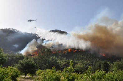 Orman Yangınlarına Müdahale İçin Hazırlar