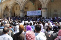 DOÇENT DOKTOR - Sabır Etkinlikleri 3 Dilde Dua İle Sona Erdi