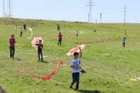 UÇURTMA ŞENLİĞİ - Cizre'de Uçurtma Şenliği Düzenlendi