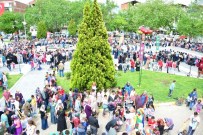 ÇOCUK BAYRAMI - Erbaa'da Çocuk Şenliği