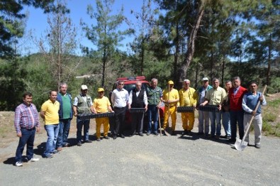 Osmaniye'de Çam Kese Böceklerine Karşı Mücadele Başlatıldı