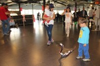 ANDROİD - Çocuklar 23 Nisan'da Robotlarla Tanıştı