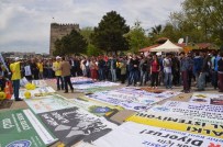 UĞUR BAYRAKTUTAN - Sinop'ta Nükleer Karşıtı Miting