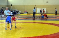 22 İlden 400 Güreşçi Balıkesir'de Ter Döktü