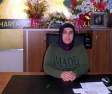 Akşener'e Destek Veren Çelik Görevden Alındı