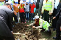 Büyükşehir Belediyesi, 2016 Yılında 49 Bin 500 Meyve Fidanı Dikecek