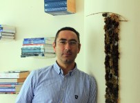 ATıLıM ÜNIVERSITESI - Siyasette Gayri Resmi Dil Ve Negatif Söylemler Araştırması