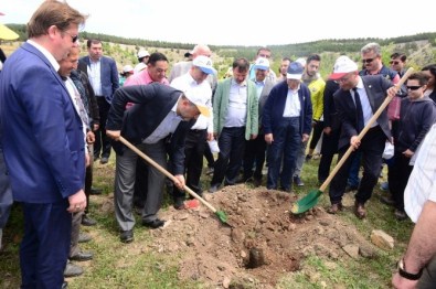 Şükrü Nazlı Açıklaması Orman Ve Su İşleri Bakanlığı Kütahya'da 94 Milyon Fidanı Toprakla Buluşturdu