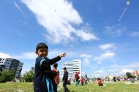 UÇURTMA ŞENLİĞİ - 2 Bini Aşkın Uçurtma Gökyüzünü Süsledi