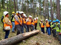 Akdağmadeni Orman İşletme Müdürlüğü'nde Standardizasyon Eğitimi