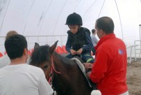 TERÖR MAĞDURU - Atlar, Engelli Çocukların Umudu Oldu