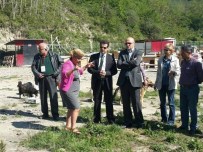 TATİL GÜNÜ - Hayvanseverler Trabzon Büyükşehir'e Minnettar