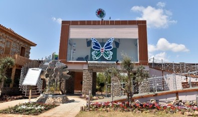 Kepez'in EXPO Sembolü Zeytin