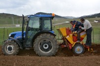Patates Üretimini Artırmak İçin Belediye Tarla Kurdu