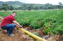 Üreticiler Süte Yapılan Müdahaleyi Patatese De İstiyor